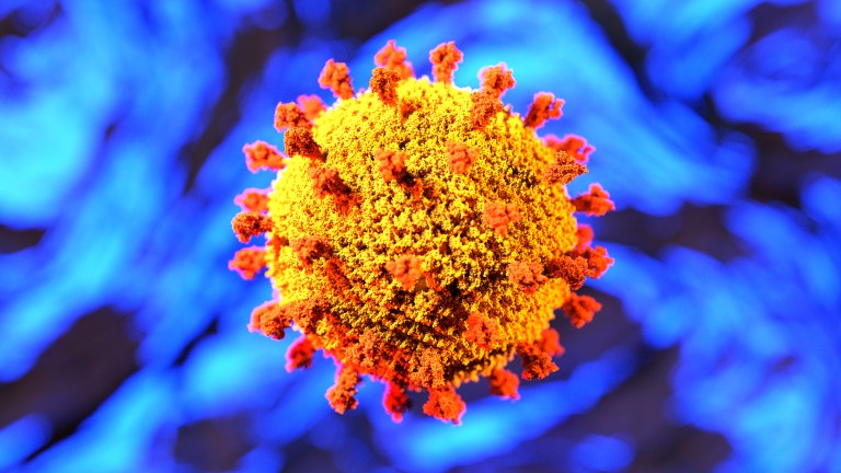 Coronavirus2